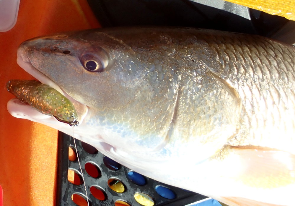 Do trout feel pity? Fishing with Fiberglass Fly Rods Fiberglass