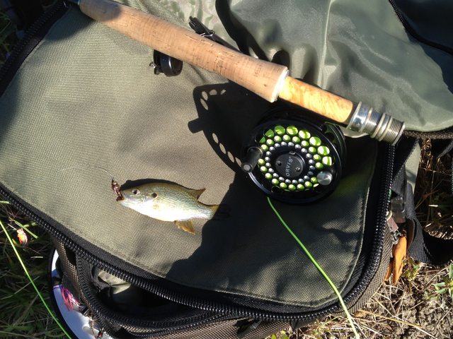 whuppin' stick, Fishing with Fiberglass Fly Rods