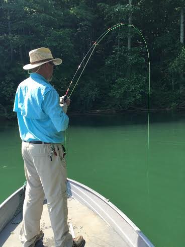 What's the biggest fish you've caught on a fiberglass Rod, Fishing with  Fiberglass Fly Rods