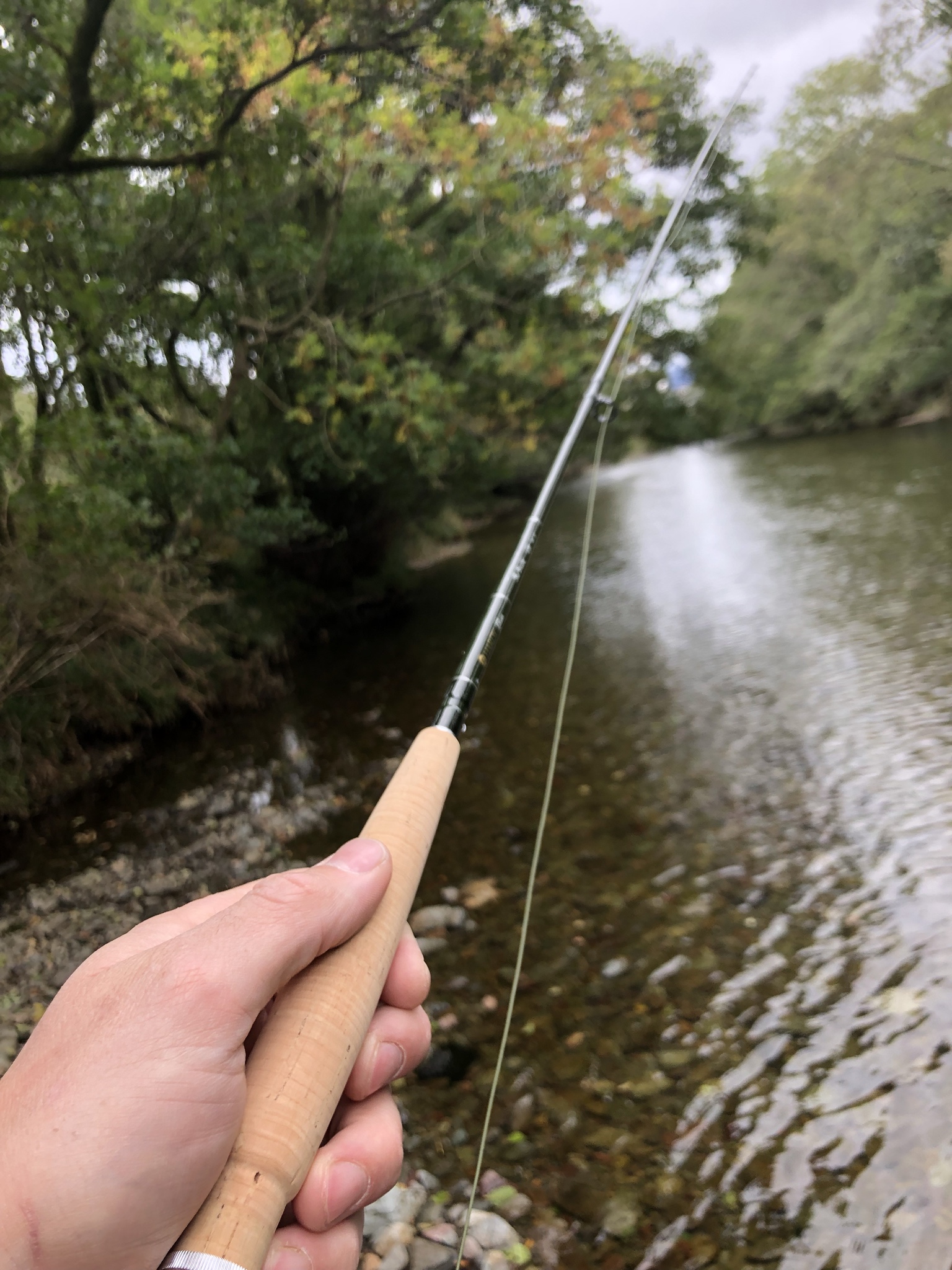 First glass rod - Hardy the brook 6ft 3wt