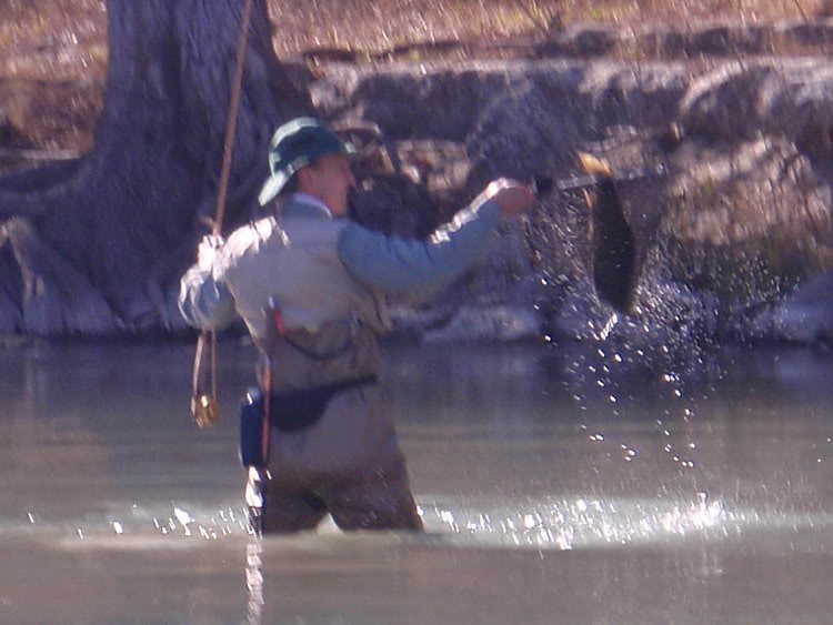 recommend a click and pawl for a 3-wt  The North American Fly Fishing  Forum - sponsored by Thomas Turner