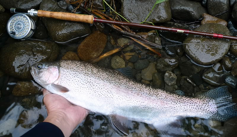 Fishing on Shokotsu River | Fishing with Fiberglass Fly Rods ...