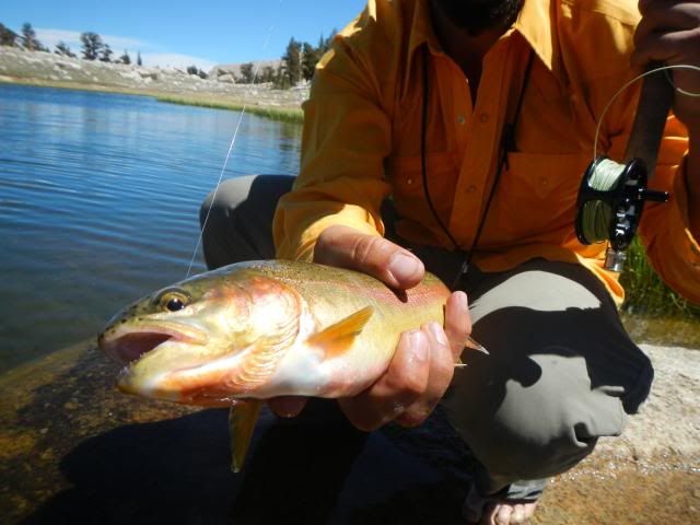 Fishing Rods: Average savings of 48% at Sierra