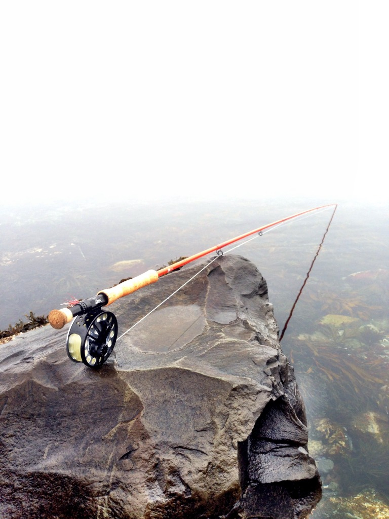 Double debut Norwegian style Fishing with Fiberglass Fly Rods