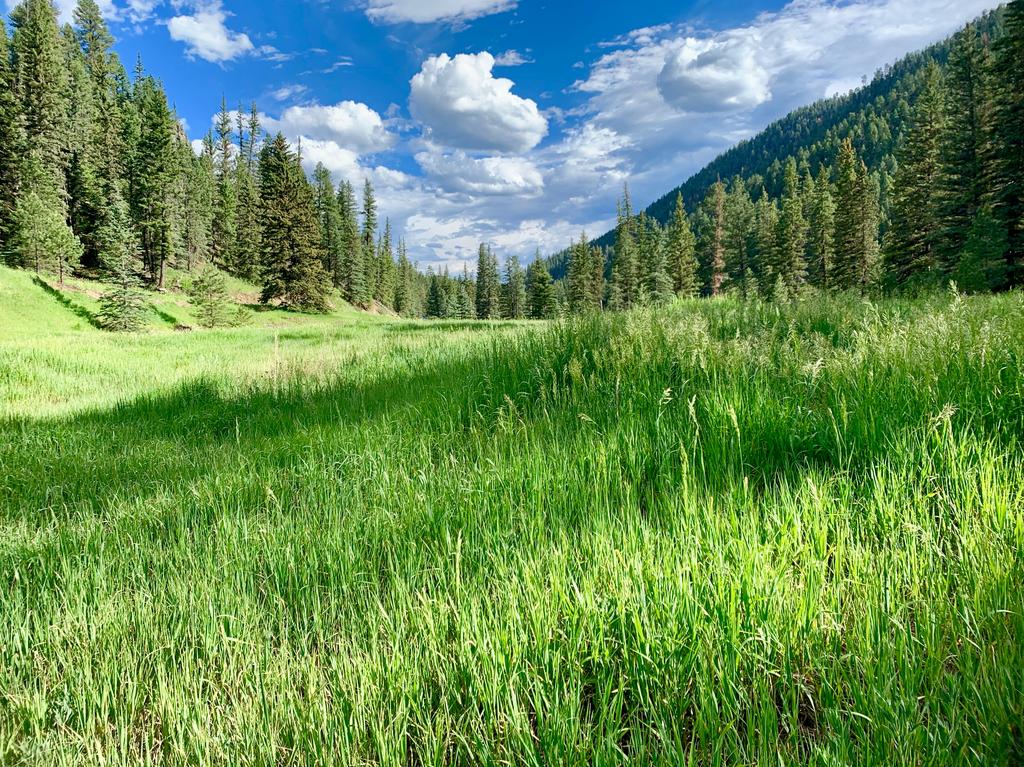 Afternoon Fishing Near Santa Fe? Updated Fishing the Pecos