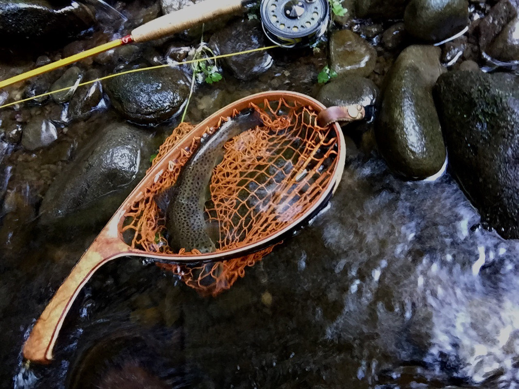 a small net, Fishing with Fiberglass Fly Rods