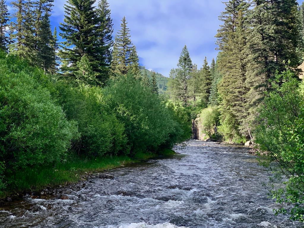 Afternoon Fishing Near Santa Fe? Updated Fishing the Pecos