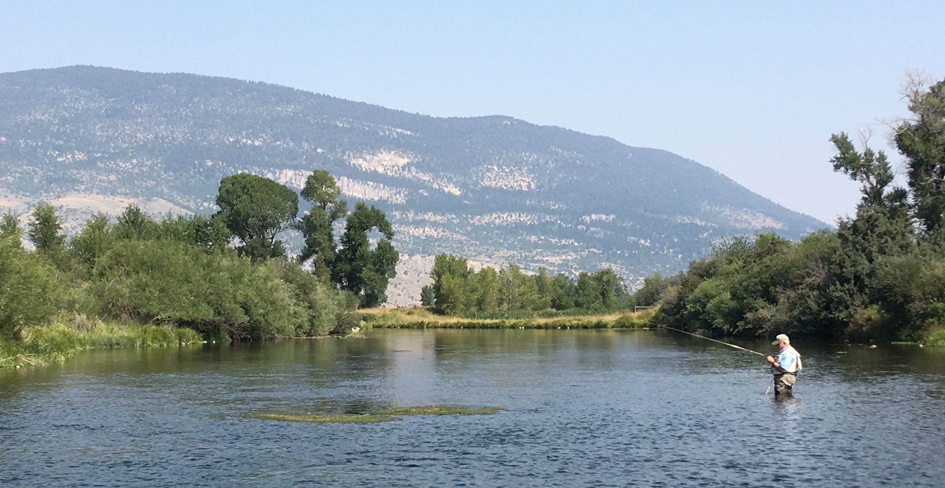 A day with Anderson on the Armstrong Spring Creek (MT) Fishing