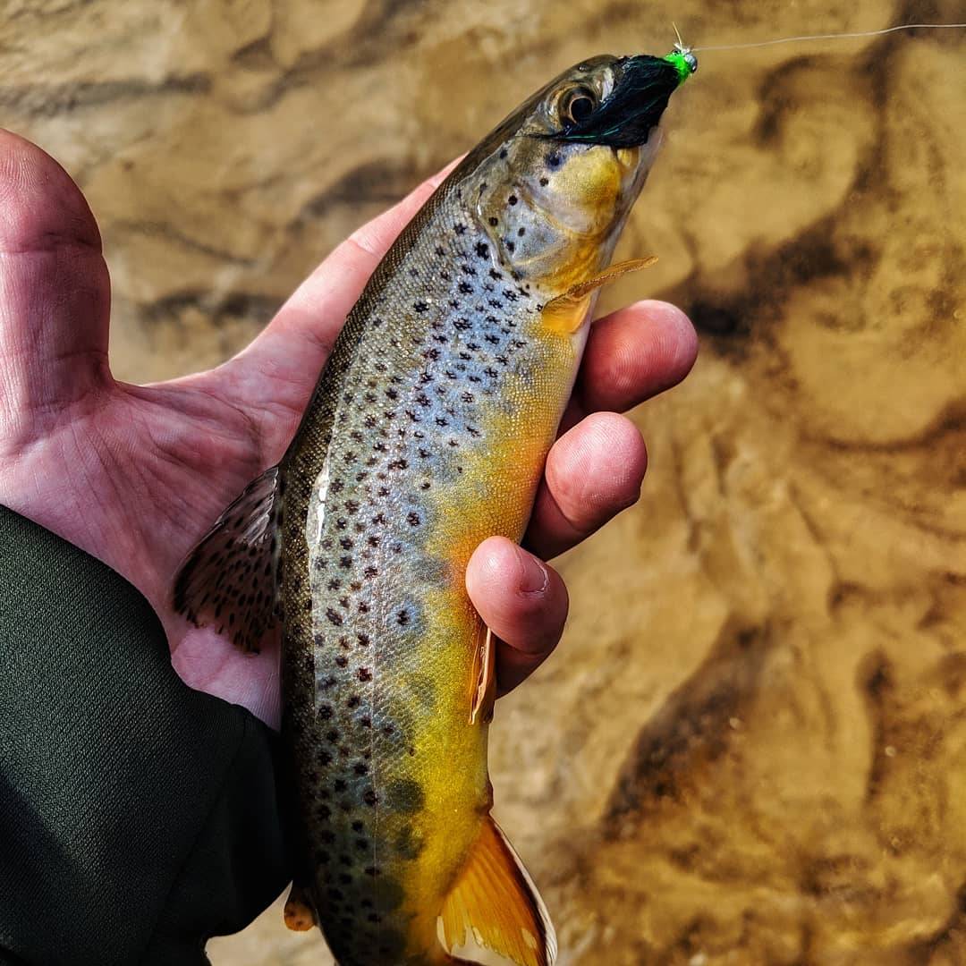 A couple driftless days, Fishing with Fiberglass Fly Rods