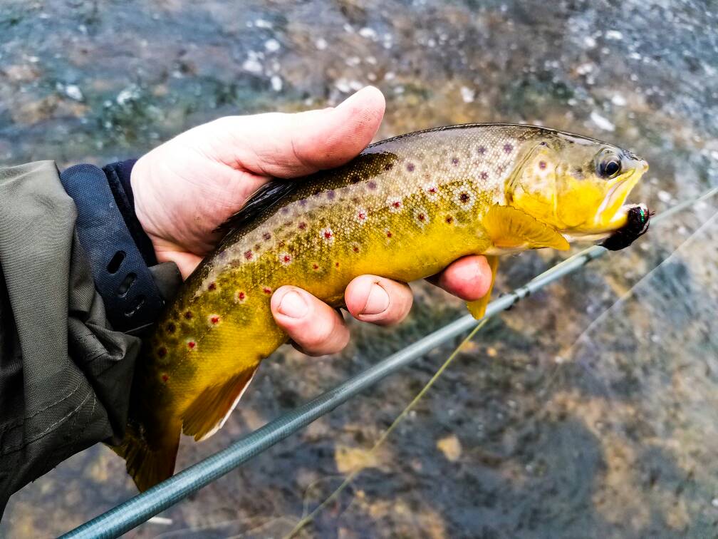 A couple driftless days Fishing with Fiberglass Fly Rods Fiberglass
