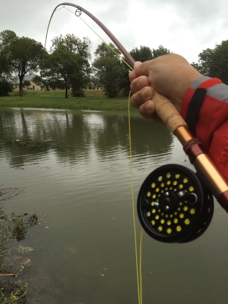 Best Value in a Fly Reel Classic Fly Reels Fiberglass Flyrodders