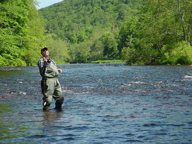 Farmington River CT | Fishing with Fiberglass Fly Rods | Fiberglass ...