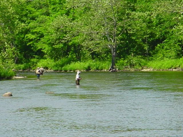 Farmington River CT | Fishing with Fiberglass Fly Rods | Fiberglass ...