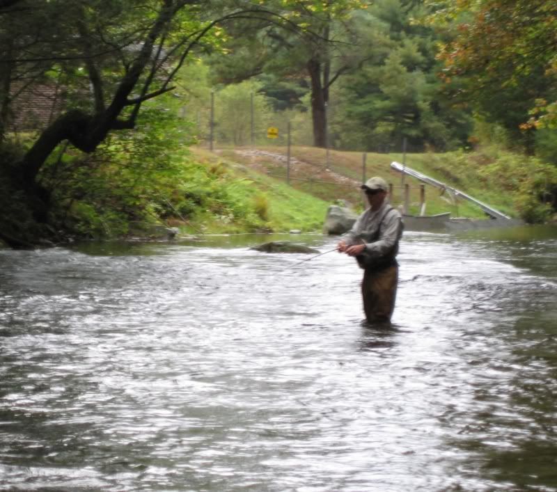 Rods — Swift River Fly Fishing