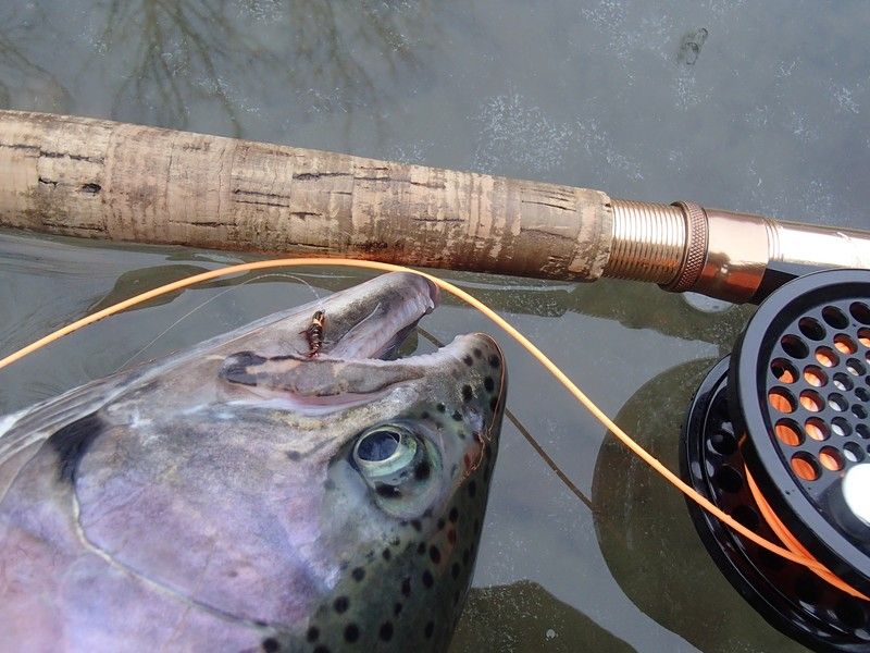 Fenwick Steelhead, Fishing with Fiberglass Fly Rods