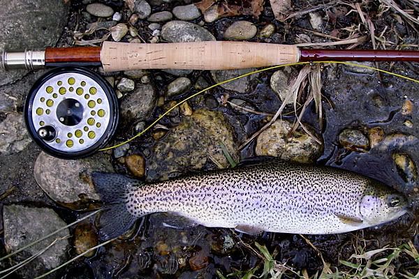 ff756 and white bass  Fishing with Fiberglass Fly Rods