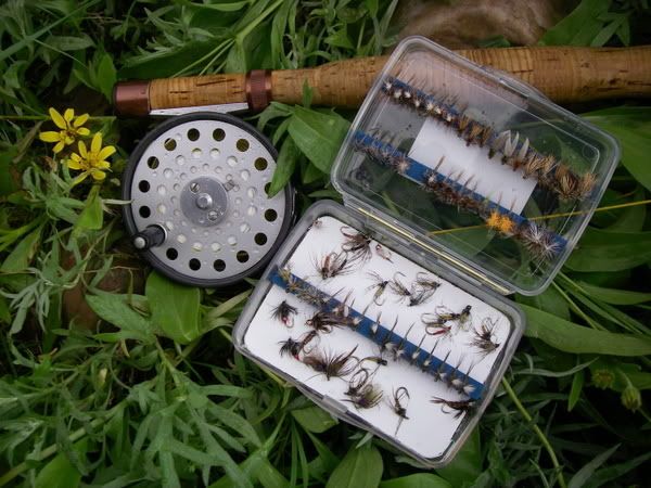 CLIFF OUTDOORS DAY'S WORTH FLY BOX-- Fly Fishing