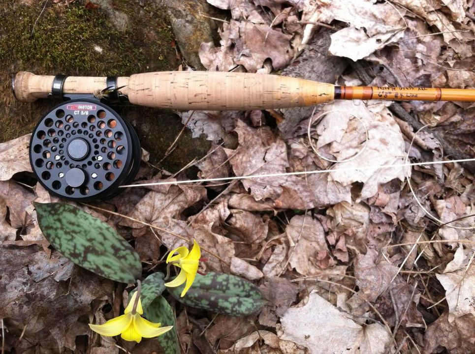 Airflo Brookie Fly Rod #6