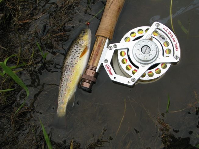 Offset fly reels? Is that even what they were called?