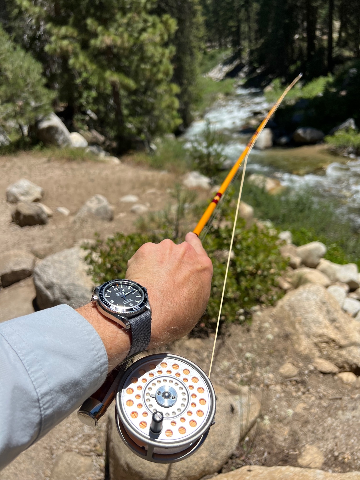 High country softhackle swinging in a National Park Fishing with