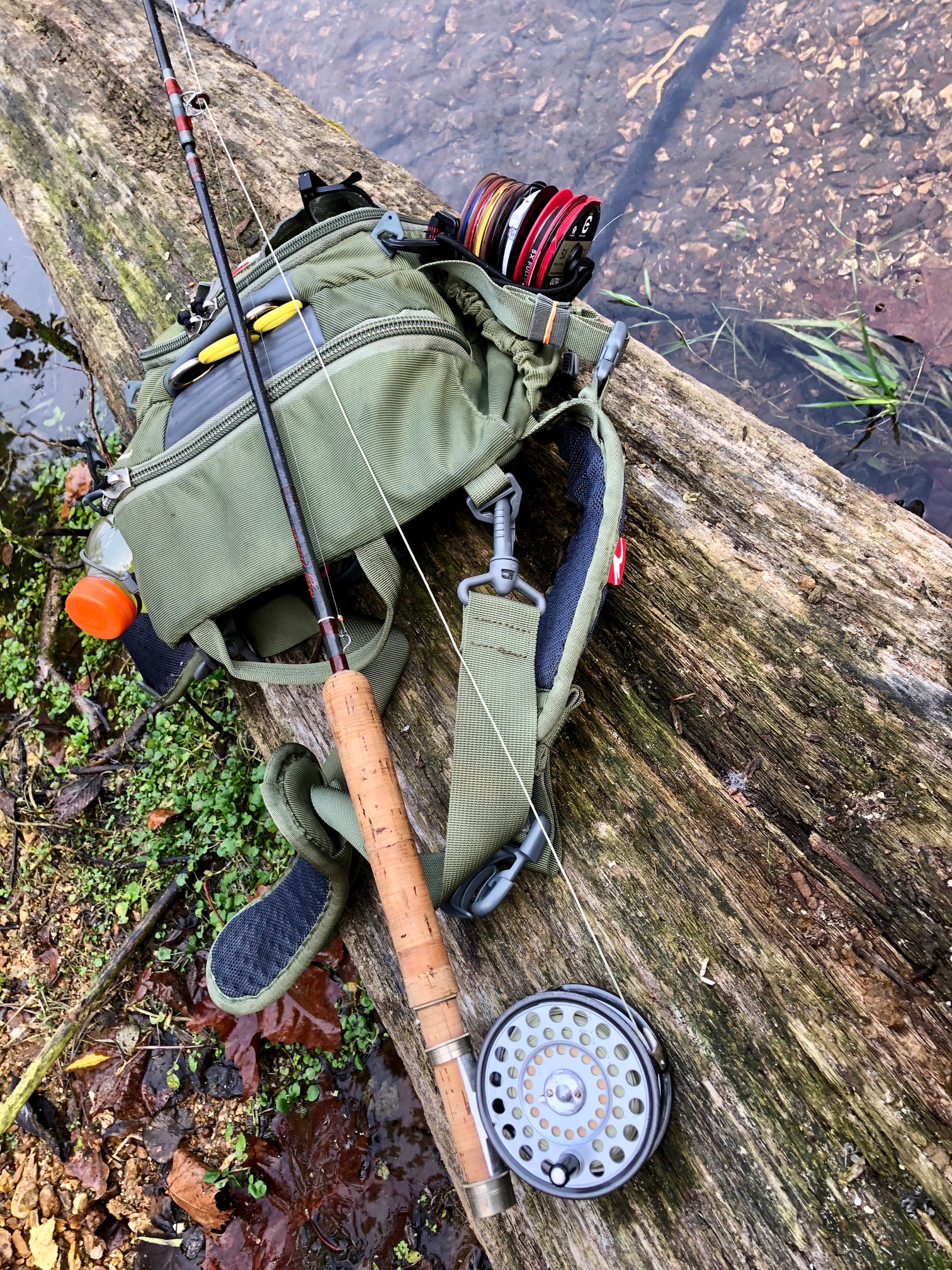 Fall Outing with the Scott G 804-4, Fishing with Fiberglass Fly Rods