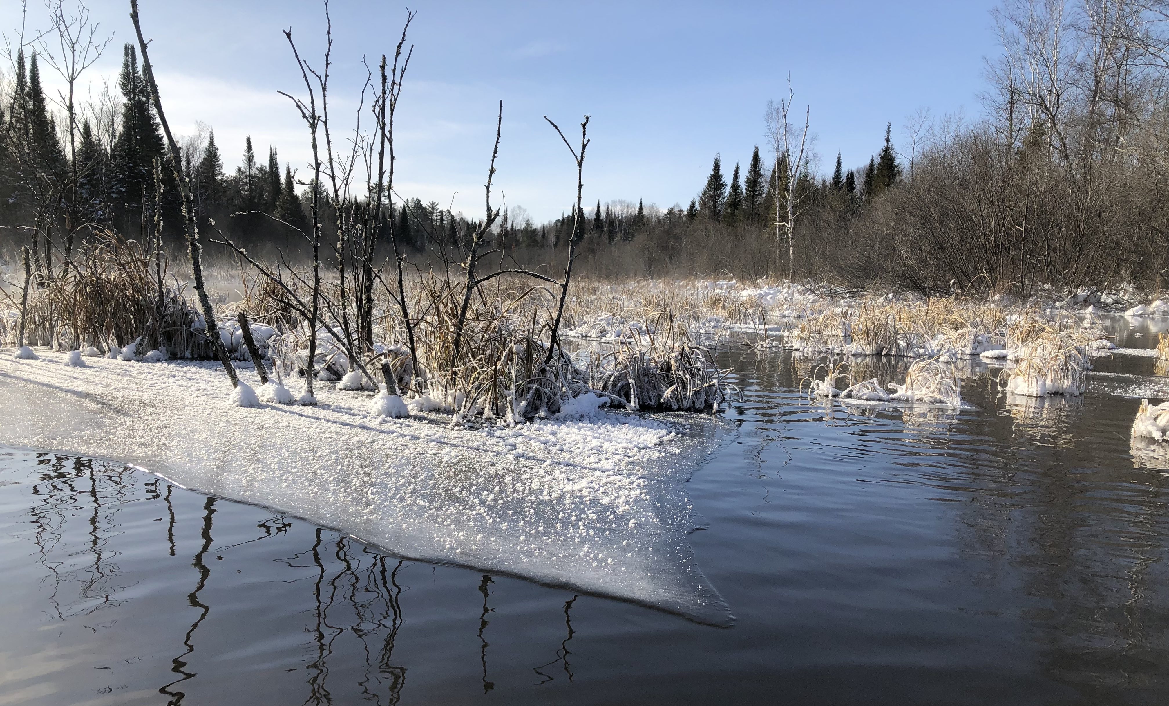 Wisconsin Trout Opener Fishing with Fiberglass Fly Rods Fiberglass