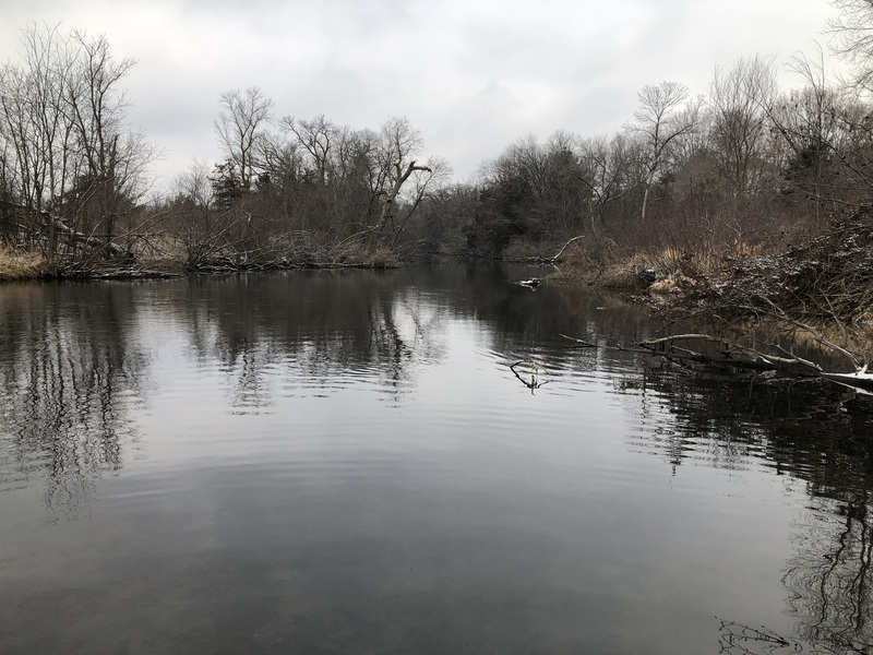 Wisconsin Trout Opener Fishing with Fiberglass Fly Rods Fiberglass