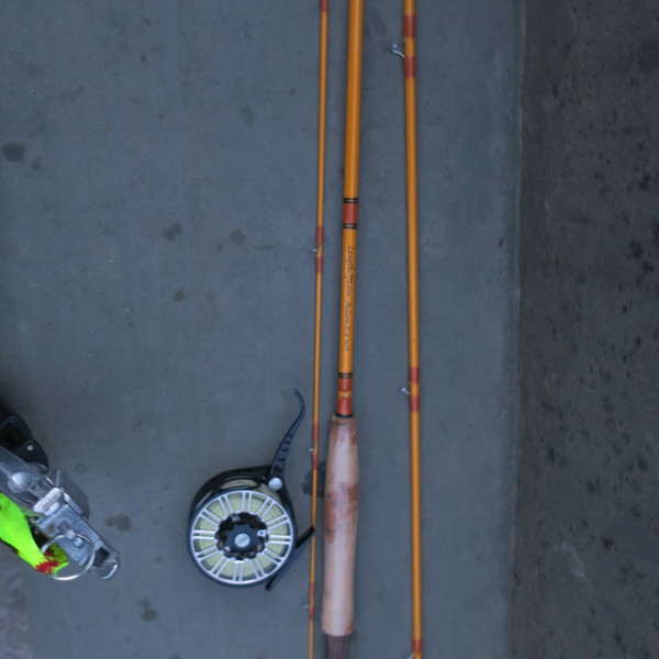 Mirror carp on inexpensive fiberglass 3/4 wt fly rod Fishing with Fiberglass Fly Rods