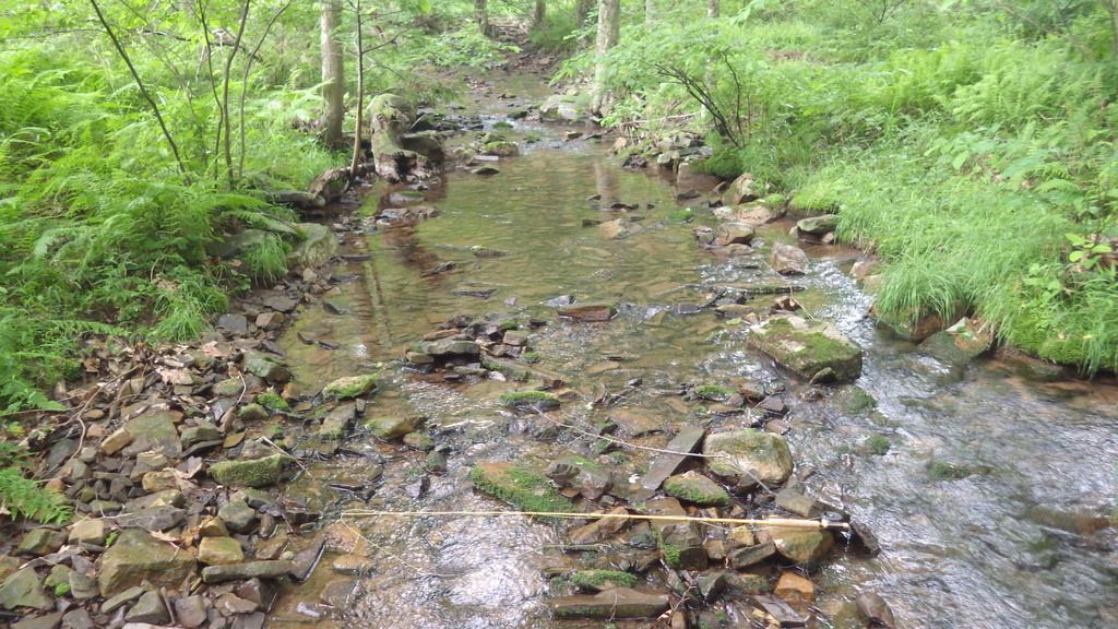 Tiny PA Brook Trout Streams and 5ft EC Featherlight Fishing with
