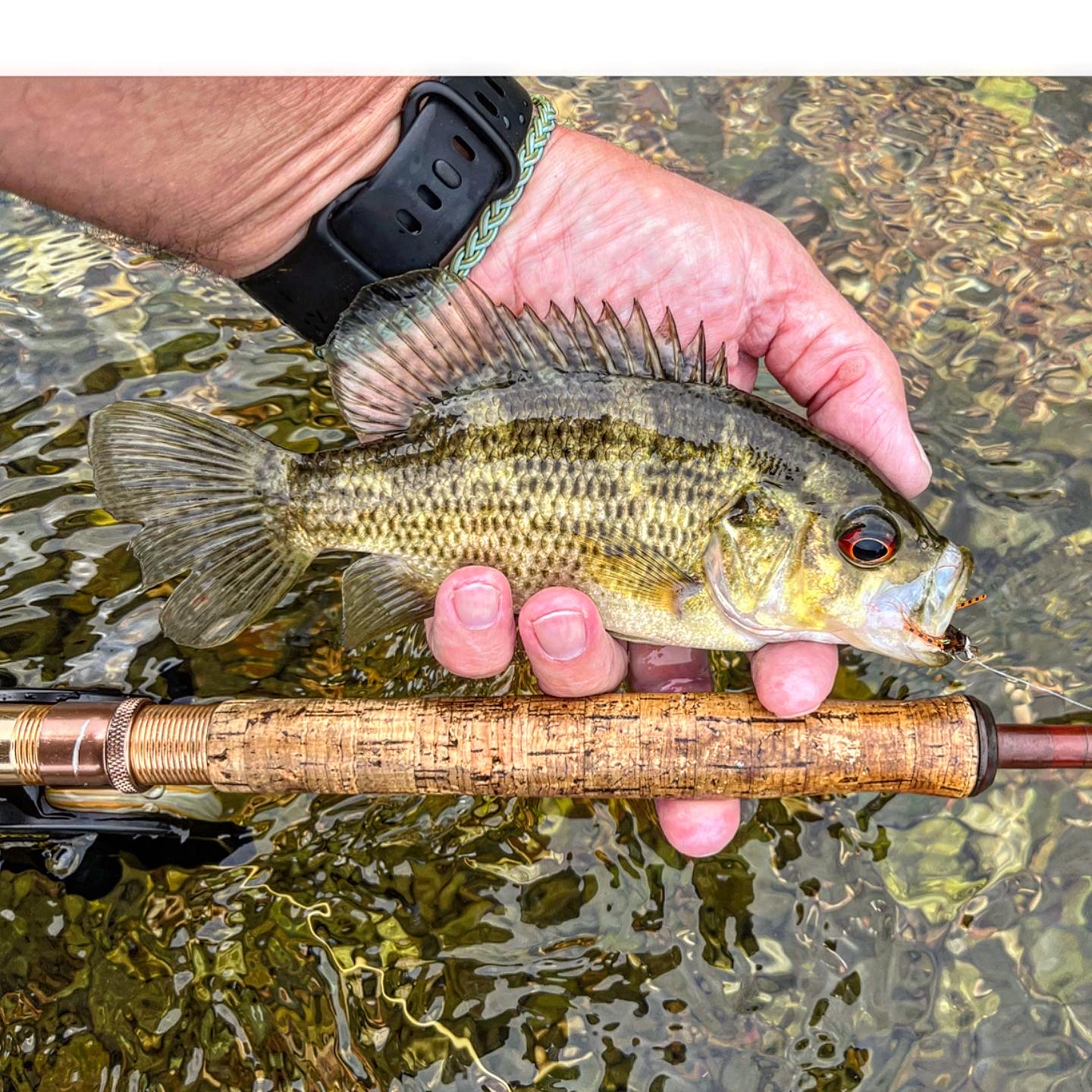 warm-weather-wade-fishing-with-fiberglass-fly-rods-fiberglass