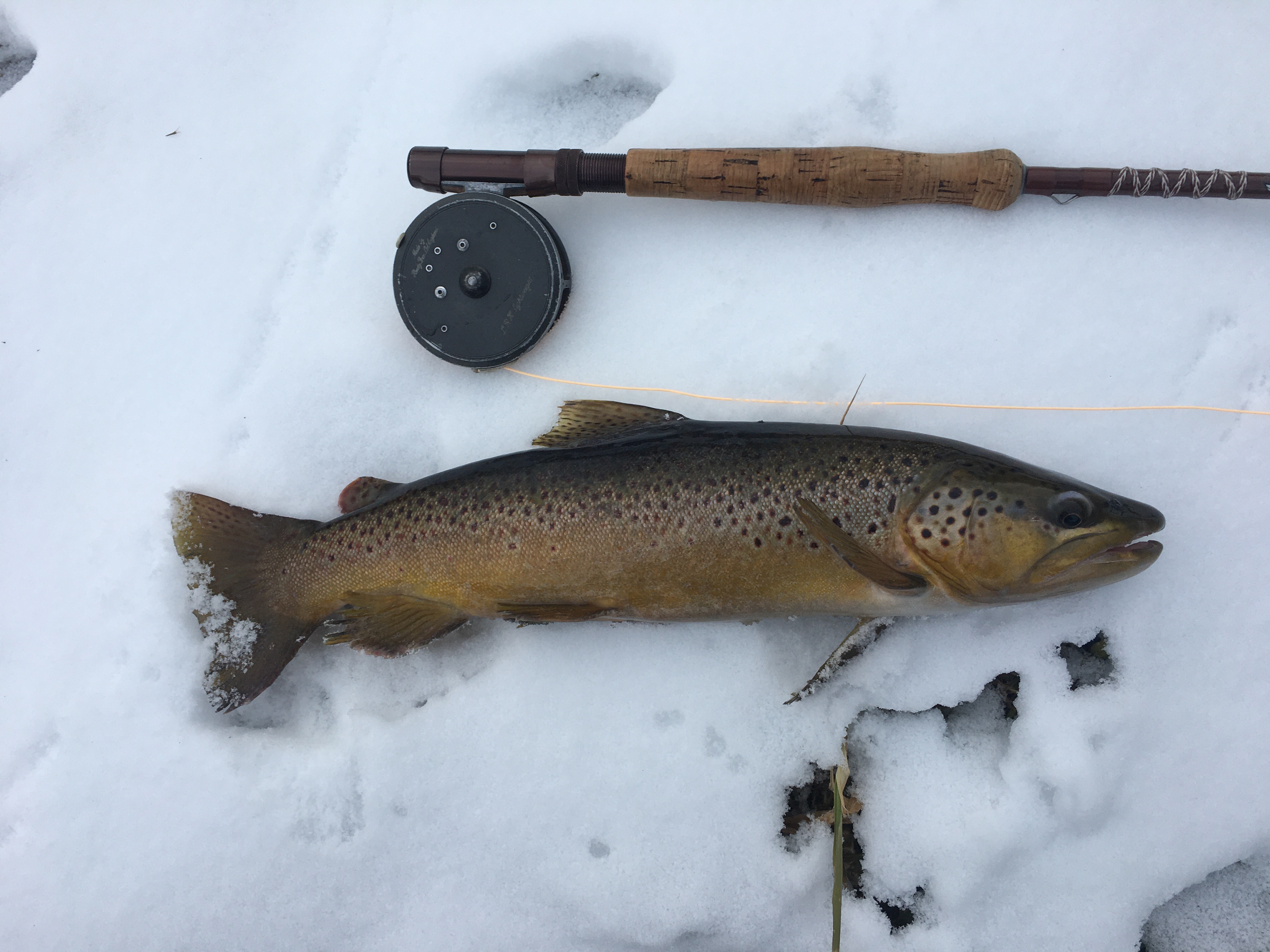 Driftless Winter Fishing with Fiberglass Fly Rods Fiberglass Flyrodders