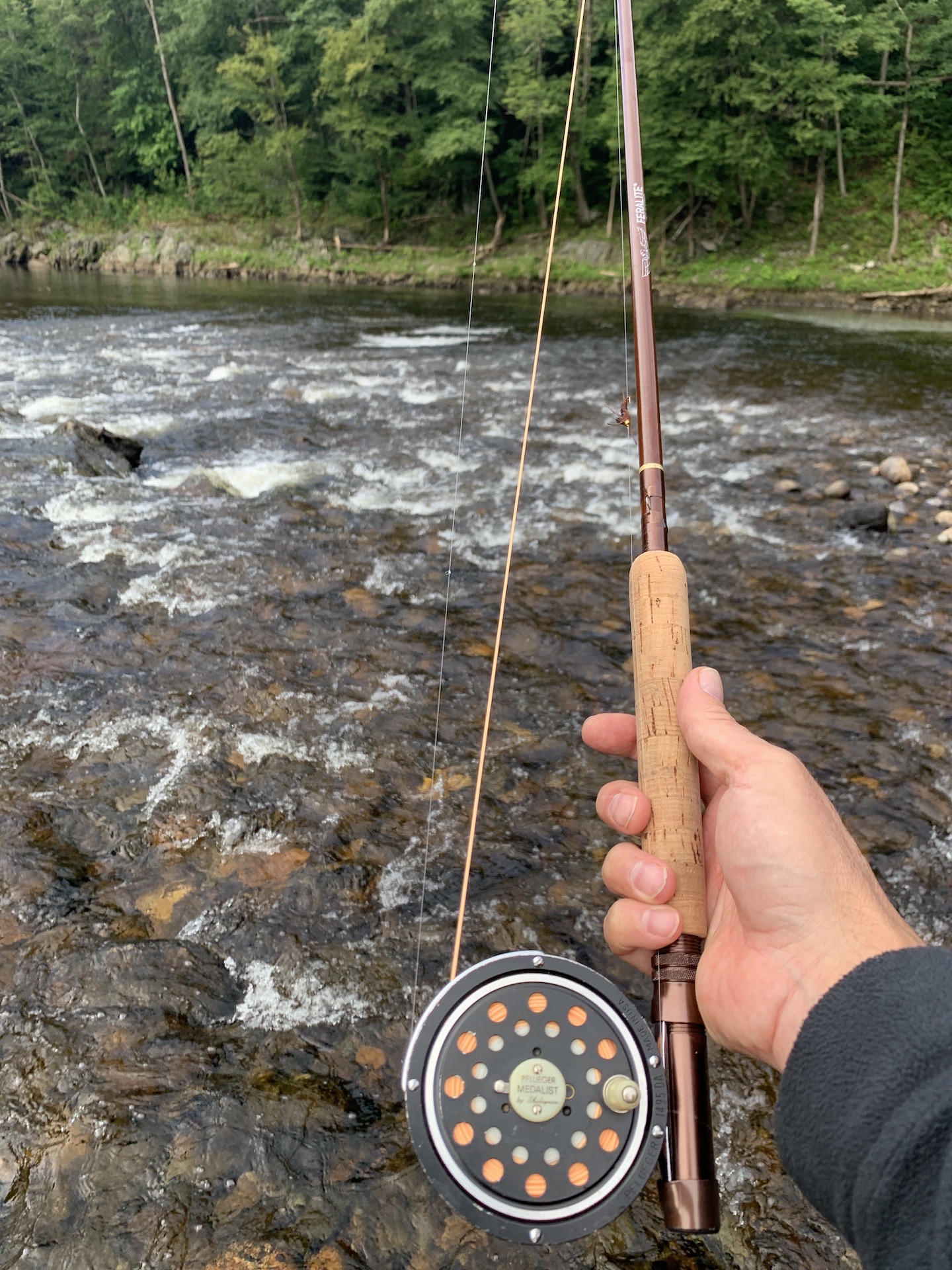 Fishing a FF805 and a Fenwick 96-6, Fishing with Fiberglass Fly Rods