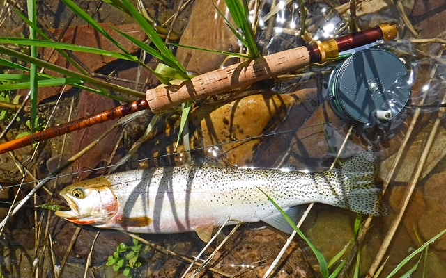Identifying and understanding the Hardy Perfect Houghton Dry Fly