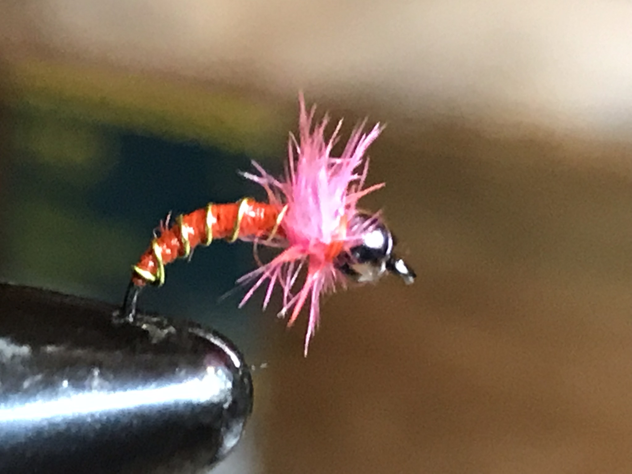 The Pink Squirrel Fly – Driftless Area Fly fishing