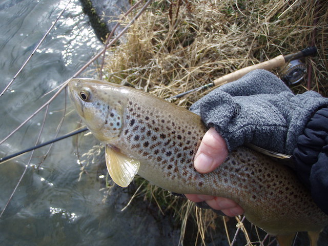 Gloves for winter fishing  Fishing with Fiberglass Fly Rods