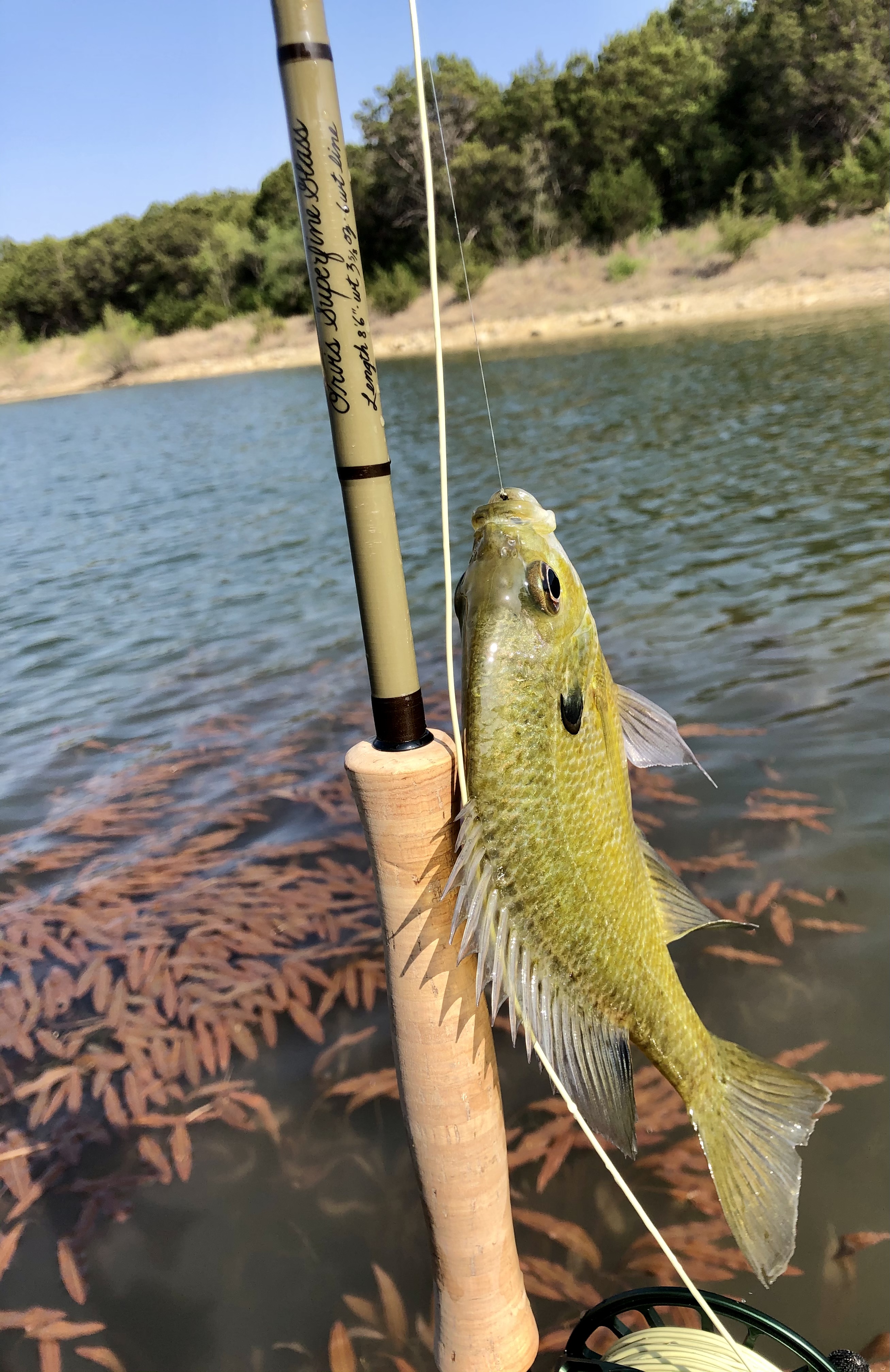 Bass & Panfish Flies