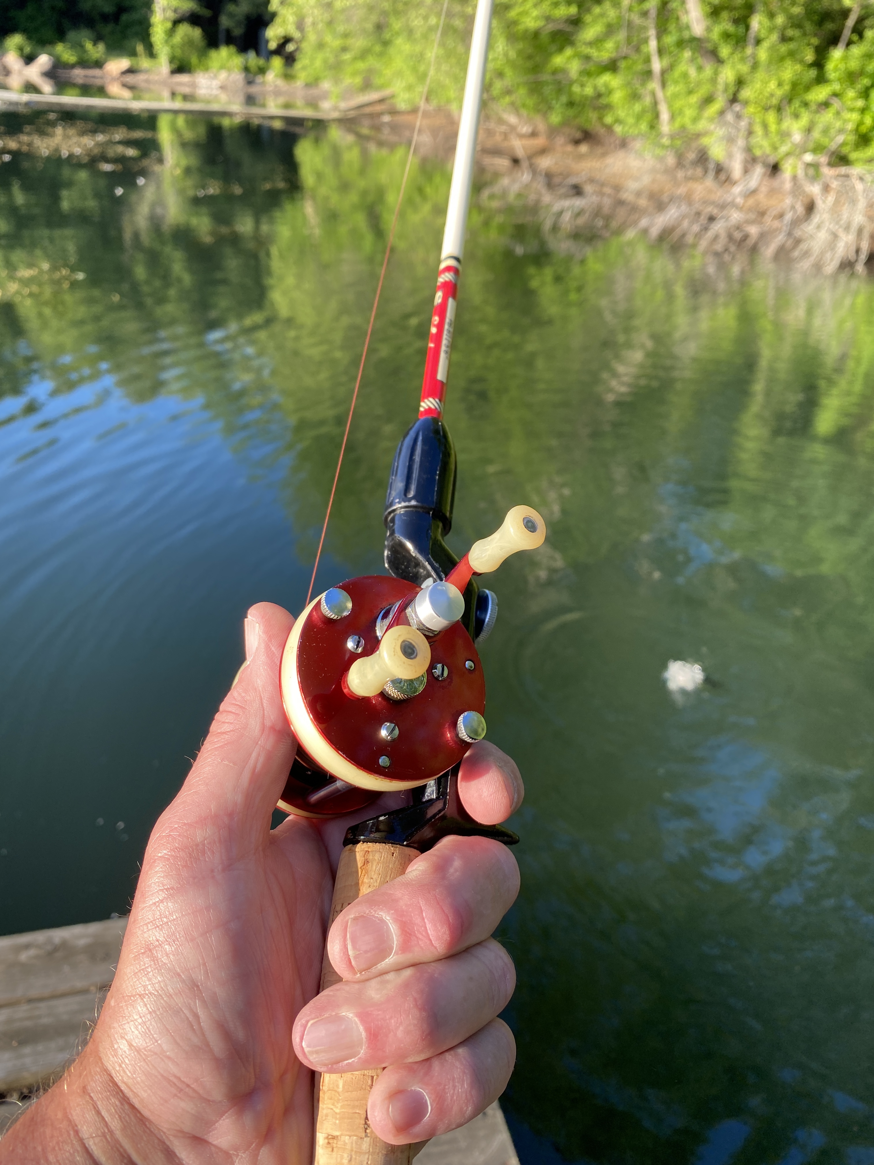 Interesting bait caster, fly reel and spinning reel all in one!, Another  Spin on Glass